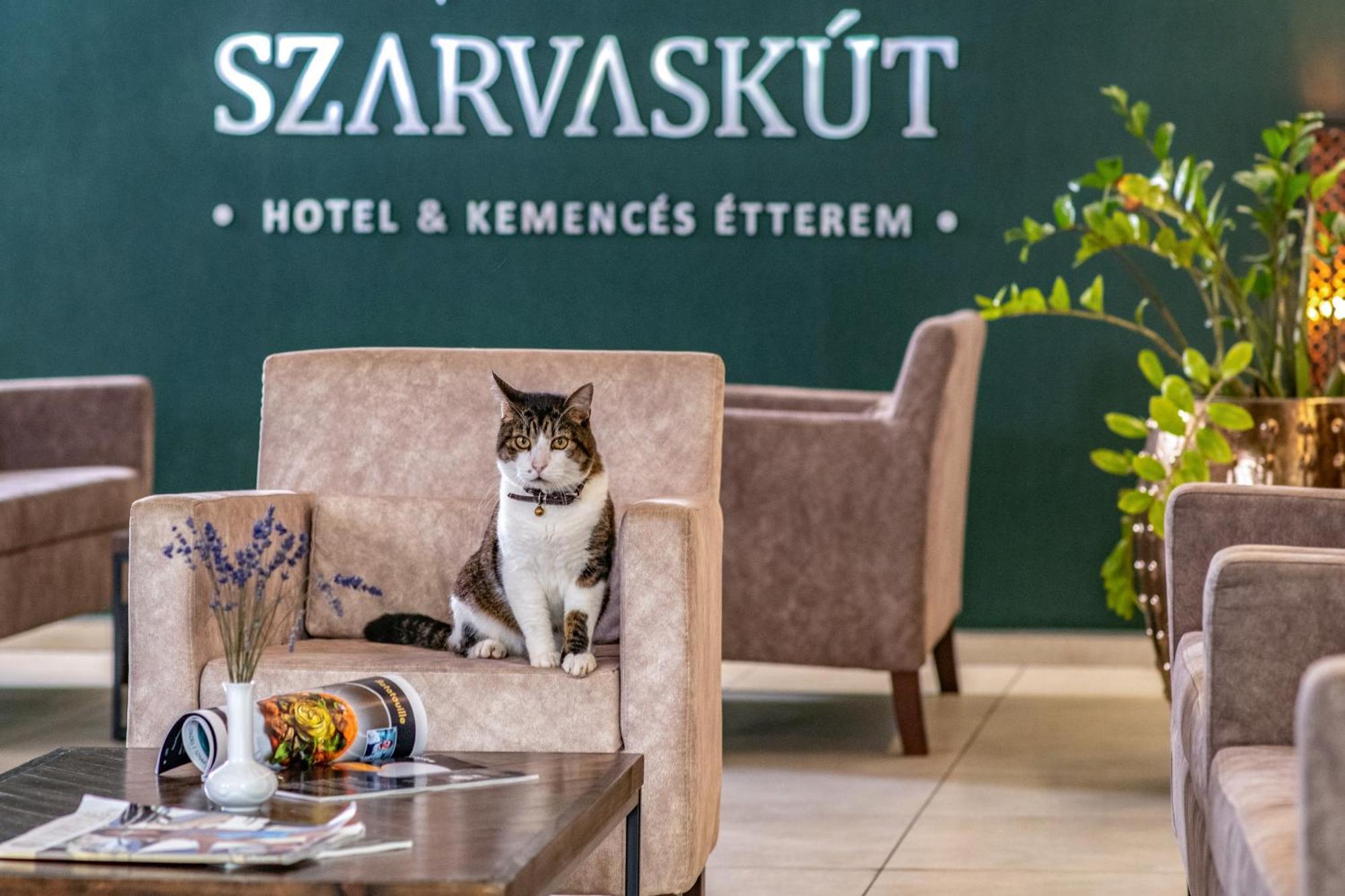 Szarvaskut Hotel Zirc Exterior photo